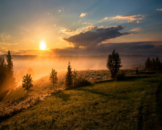 Crafting Captivating Headlines: Your awesome post title goes here contact hero